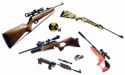 06 - Carabines et Pistolet à Plombs