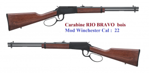 Carabine  Rossi Rio Bravo bois Cal 22 Lr  
à levier sous garde 
