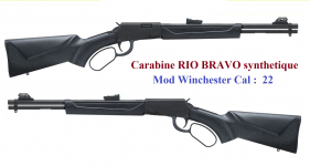 Carabine  Rossi Rio Bravo synthetique  
Cal 22 Lr à levier sous garde 