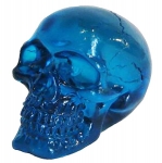 Crâne tête de mort en verre 
Translucide Bleu  