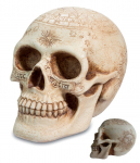 Crâne tête de mort astrologique  