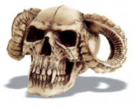 Crâne tête de mort Cornes  