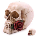 Crâne tête de mort avec  Rose Rouge 