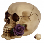 Crâne tête de mort avec  Rose Violette  