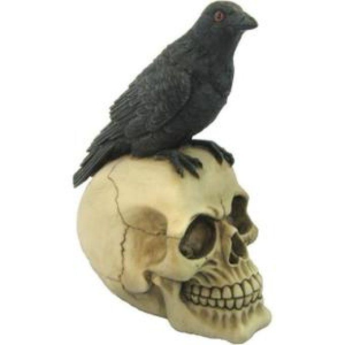 Crâne tête de mort CORBEAU