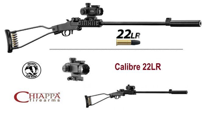 Pack Carabine Chiappa Little Badger pliante Cal  22 LR mono-coup