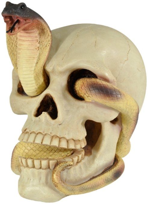 Crâne tête de mort SERPENT mêlé