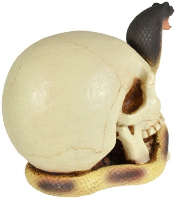 Crâne tête de mort SERPENT mêlé