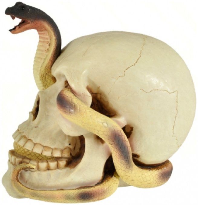 Crâne tête de mort SERPENT mêlé