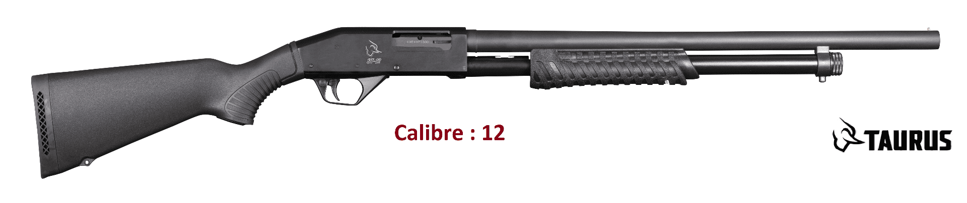 FUSIL à POMPE  TAURUS  ST 12 Standard Cal 12