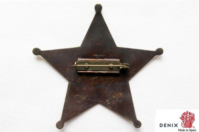 Insigne , plaque de la police indienne