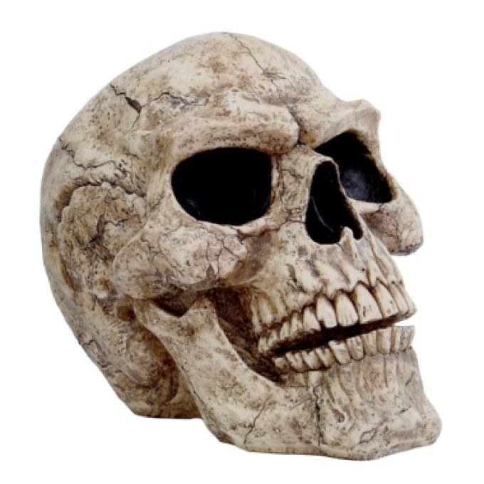 Statue Crâne GEANT Tête de mort 46 cm