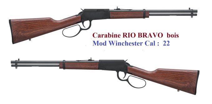 Carabine Rossi Rio Bravo bois Cal 22 Lr  à levier sous garde
