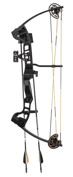 Arc à poulie Barnett Vortex Lite Mossy