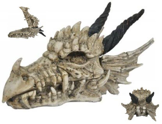 Boite Crane tête de Dragon