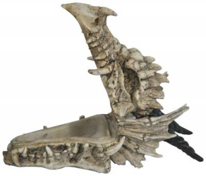 Boite Crane tête de Dragon