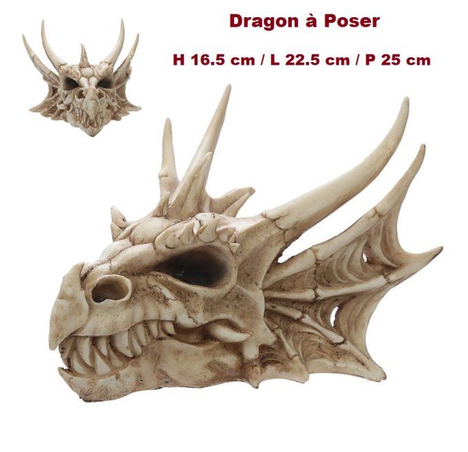 Crane tête de Dragon DE 25 cm