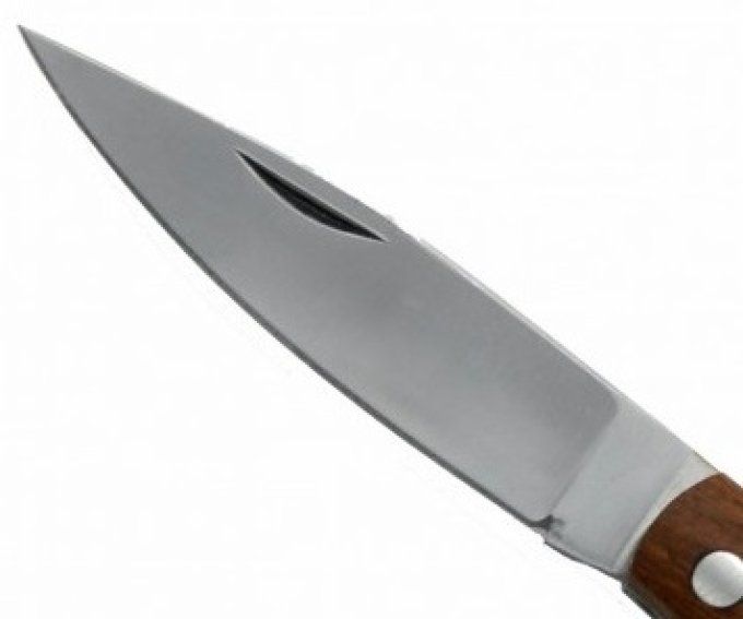 Couteau pliant lame de 10 cm /Manche bois bi color