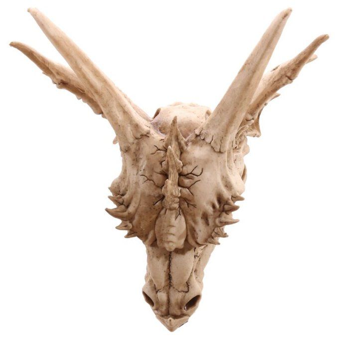 Crane Géant Tête de Dragon Mural de  47 cm