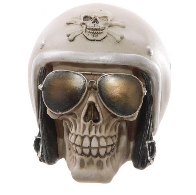 Crane tête de mort Casque et lunette