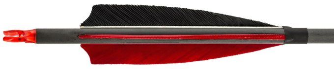 flèches carbone 32’’– spin 340  Plumes -  à L’Unitée