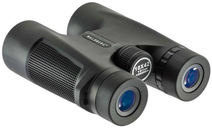 Jumelles Waldberg  10 x 42