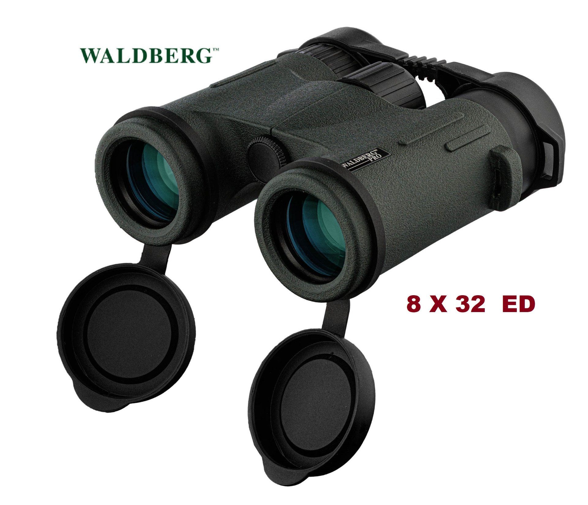 Jumelles Pro 8 X 32  ED -  Waldberg