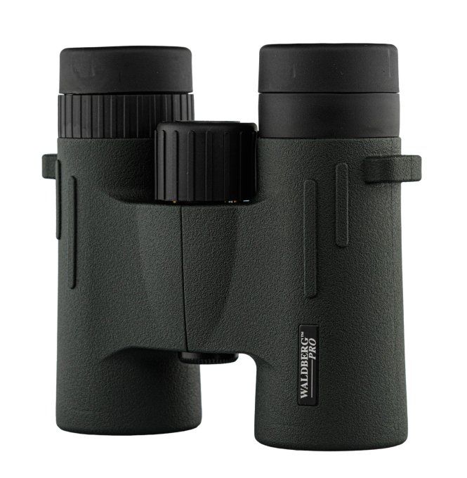 Jumelles Pro 8 X 32  ED -  Waldberg