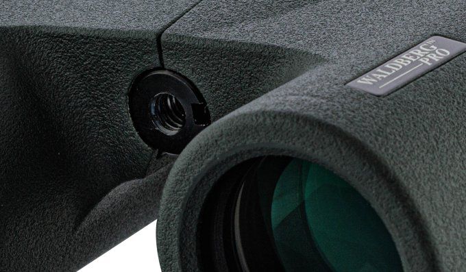 Jumelles Pro 8 X 32  ED -  Waldberg