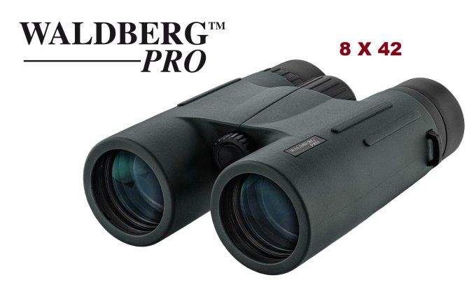 Jumelles  Waldberg PRO  8 x 42