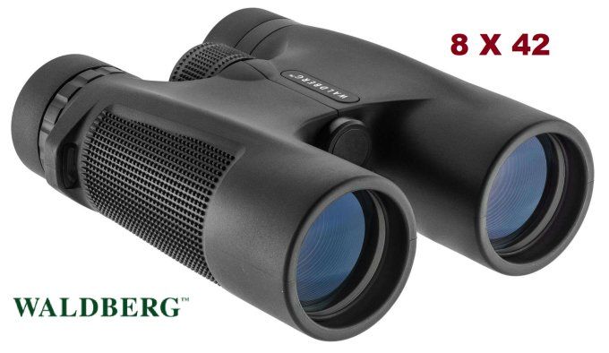 Jumelles Waldberg  8 x 42