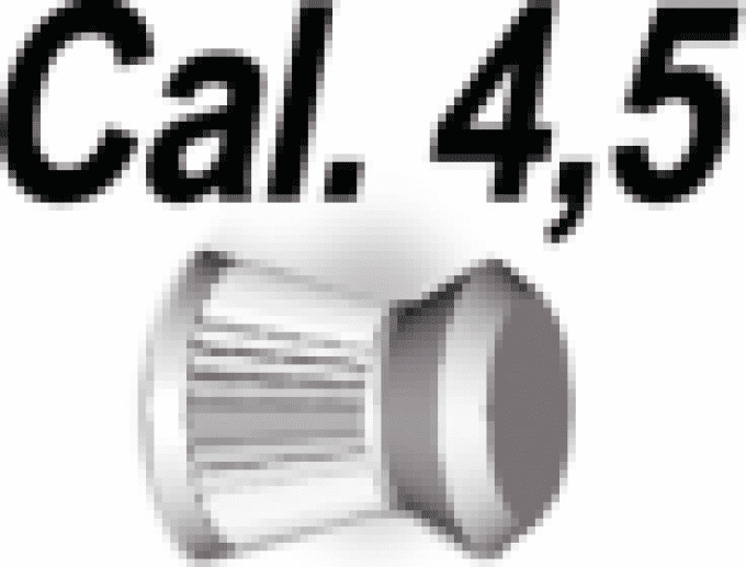 Carabine multi pompe Daisy Modèle 880 –BBS ET Diabolo Cal 4.5  /13 Joules