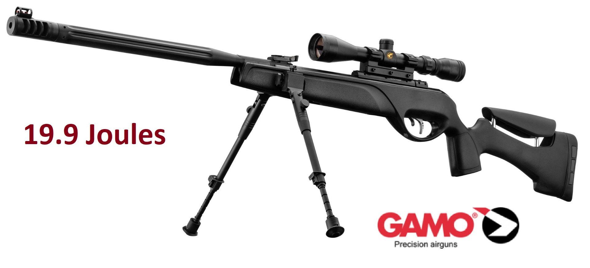 Carabine Gamo HPA IGR Cal 4.5 mm + Lunette 3-9 X 40 WR + bipied  /19.9 Joules