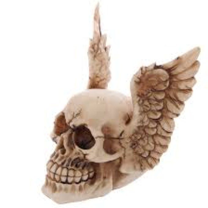 Crâne tête de mort ailes d’anges