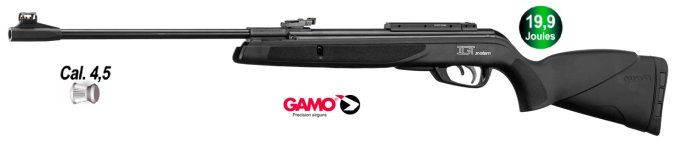 Carabine Gamo BIG CAT 1000 E-IGT - Cal 4.5