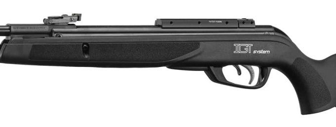 Carabine Gamo BIG CAT 1000 E-IGT - Cal 4.5