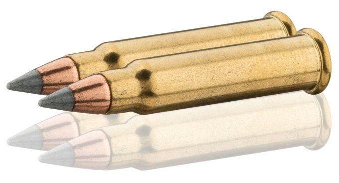 Cartouches varmint HV  Cal 17 HMR