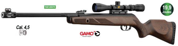 Carabine Gamo Hunter 440  AS + lunette 3-9 x 40 - Cal 4.5