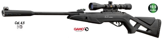 Carabine Gamo Whisper IGT + Lunette 3-9 x 40 - Cal 4.5