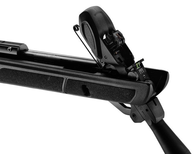 Carabine Gamo Roadster  IGT  10X GEN2 - Cal 4.5