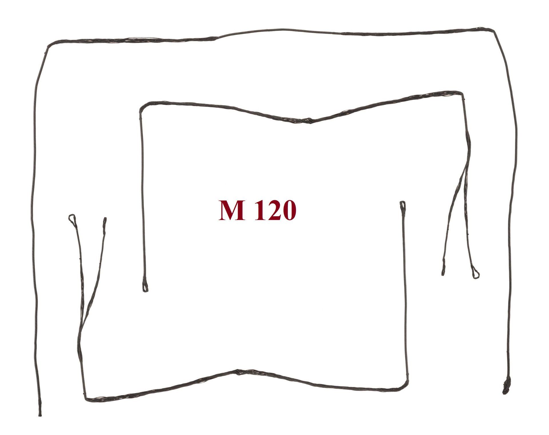 Ensemble cordes pour arc M120