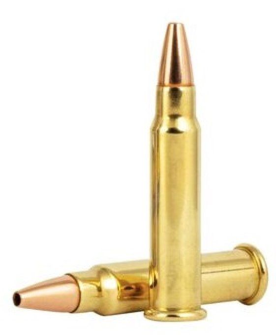 Cartouches  CCI – 17 HMR  TNT Green 17 grains -  X 50