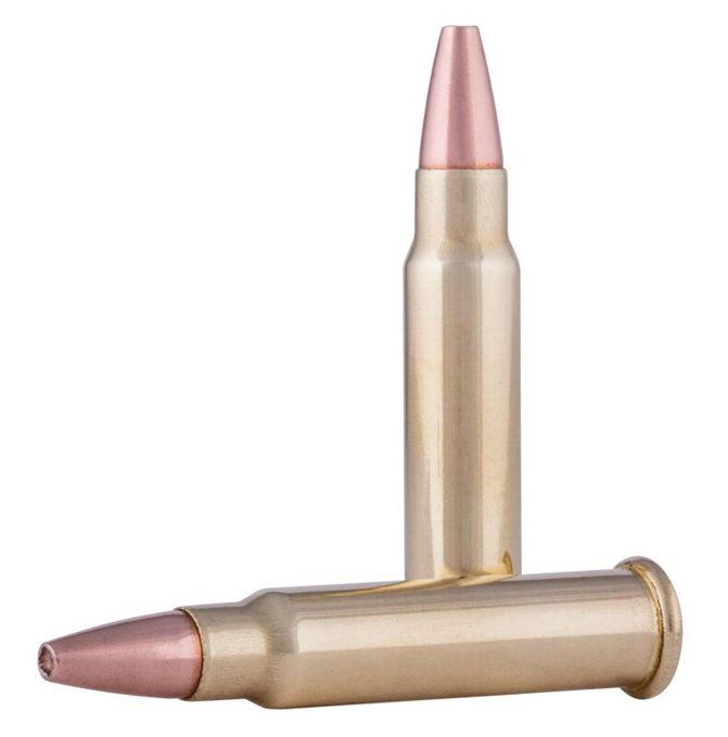 Cartouches  CCI – 17 HMR  GAMEPOINT  20 grains -  X 50