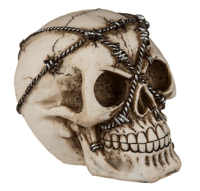 Crâne tête de mort barbele