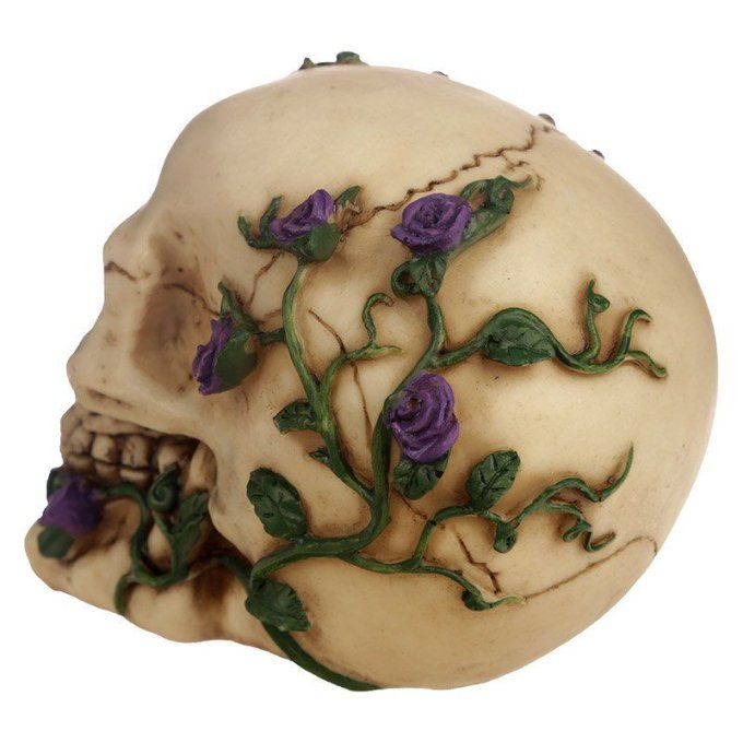 Crâne tête de mort Rose Multiple Violette
