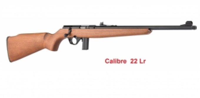 Carabine 22 Lr Mossberg Plinkster 802