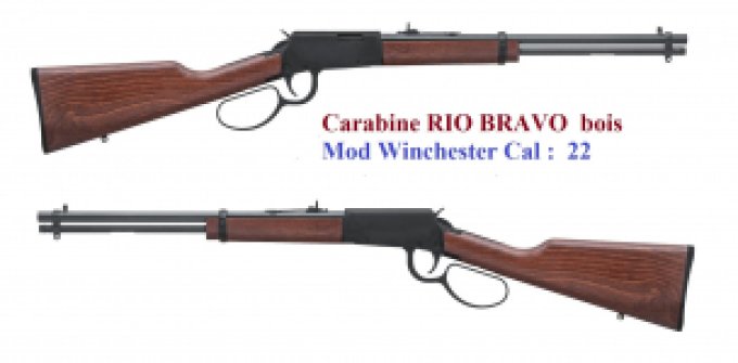 Carabine Rossi Rio Bravo bois Cal 22 Lr  à levier sous garde