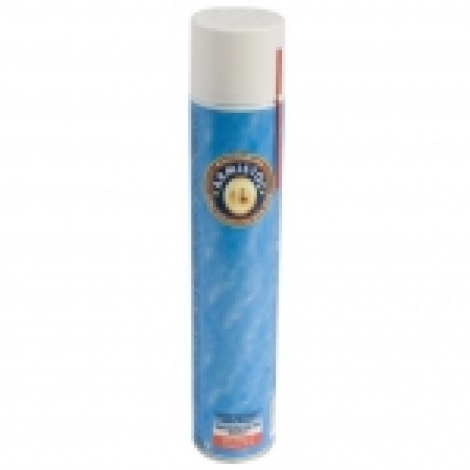 AEROSOL Huile Armistol 750 ml