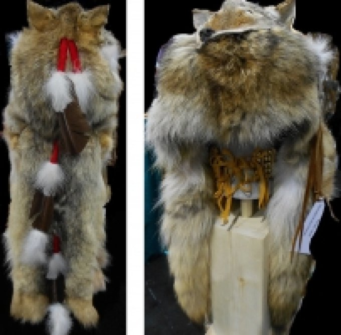 Coiffe indienne Medecine Man Shaman Made in USA ( Mod.court Full COYOTE )