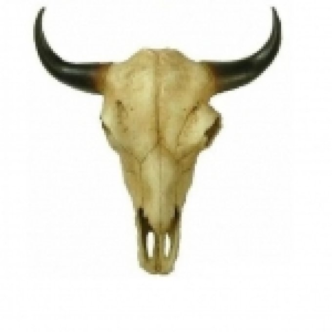 Crane de Vache Western Résine